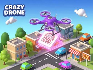 Drone Pizza Delivery Arcade