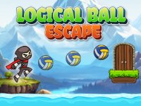 Logical Ball Escape Puzzle