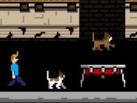 Castle Escape Puzzle Adventure