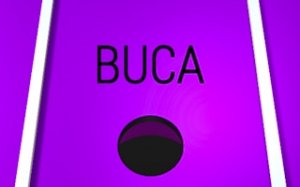 Buca Physics Puzzle Game